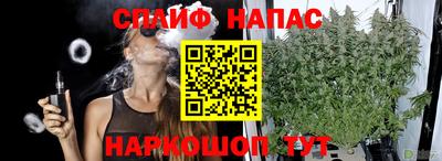 дживик Партизанск