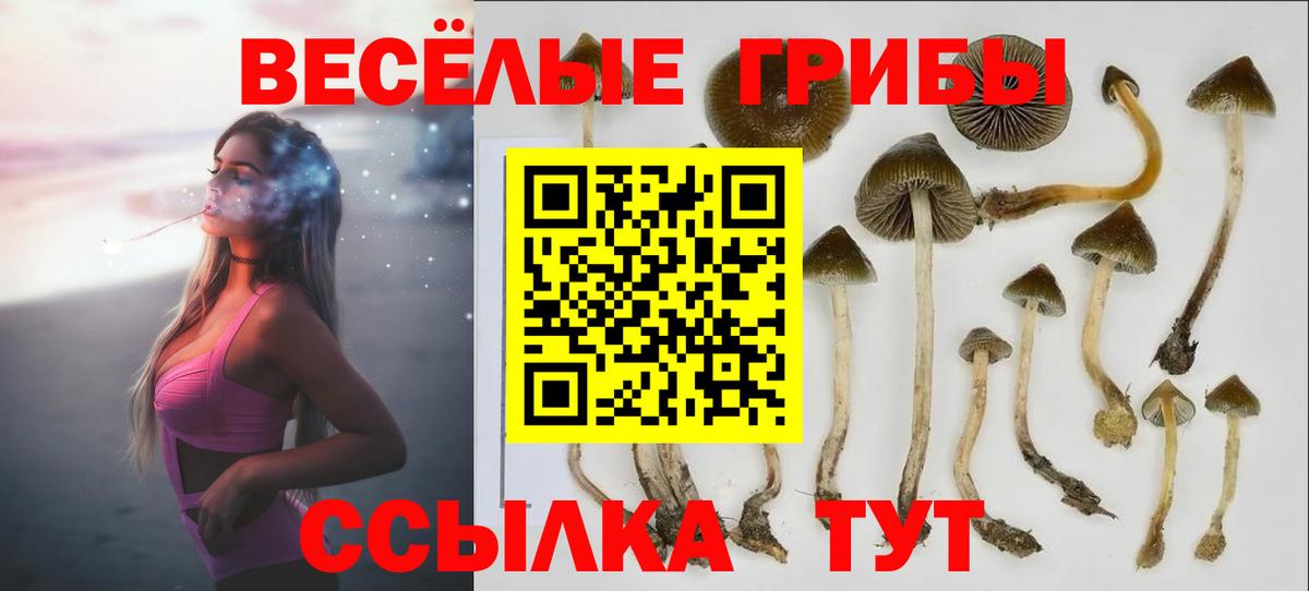 где купить   Вход с VPN  Ставрополь  Галлюциногенные грибы мухоморы 